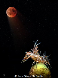 moonstruck - lunar eclipse by Lars Oliver Michaelis 